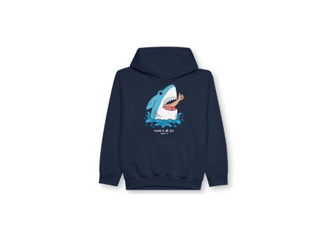 Count It All Joy Kids Hoodie
