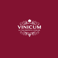 VINICUM IT