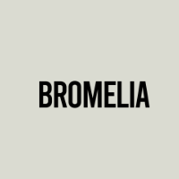 Bromelia Swimwear