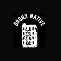 Bronx Native Shop