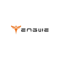 Engwe DE