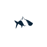 Fish Hippie