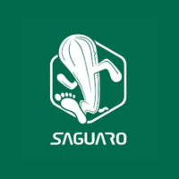 Saguaro DE