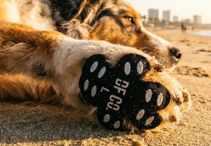 Dog Paw Pad Protectors